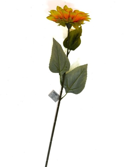 פרח חמנייה 